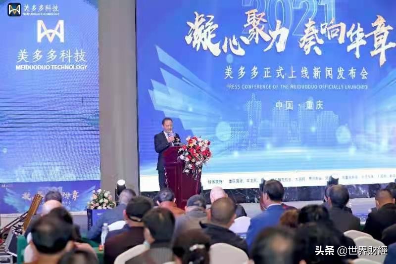 美多多全部视频,美多多现在的状况