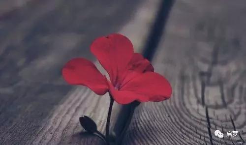 对不起我们不熟的梗,对不起我们不熟英文