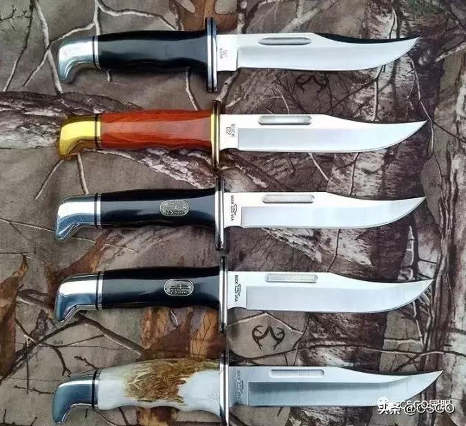 「刀说」第4期:杀猪刀——百年如一的美国BUCK刀