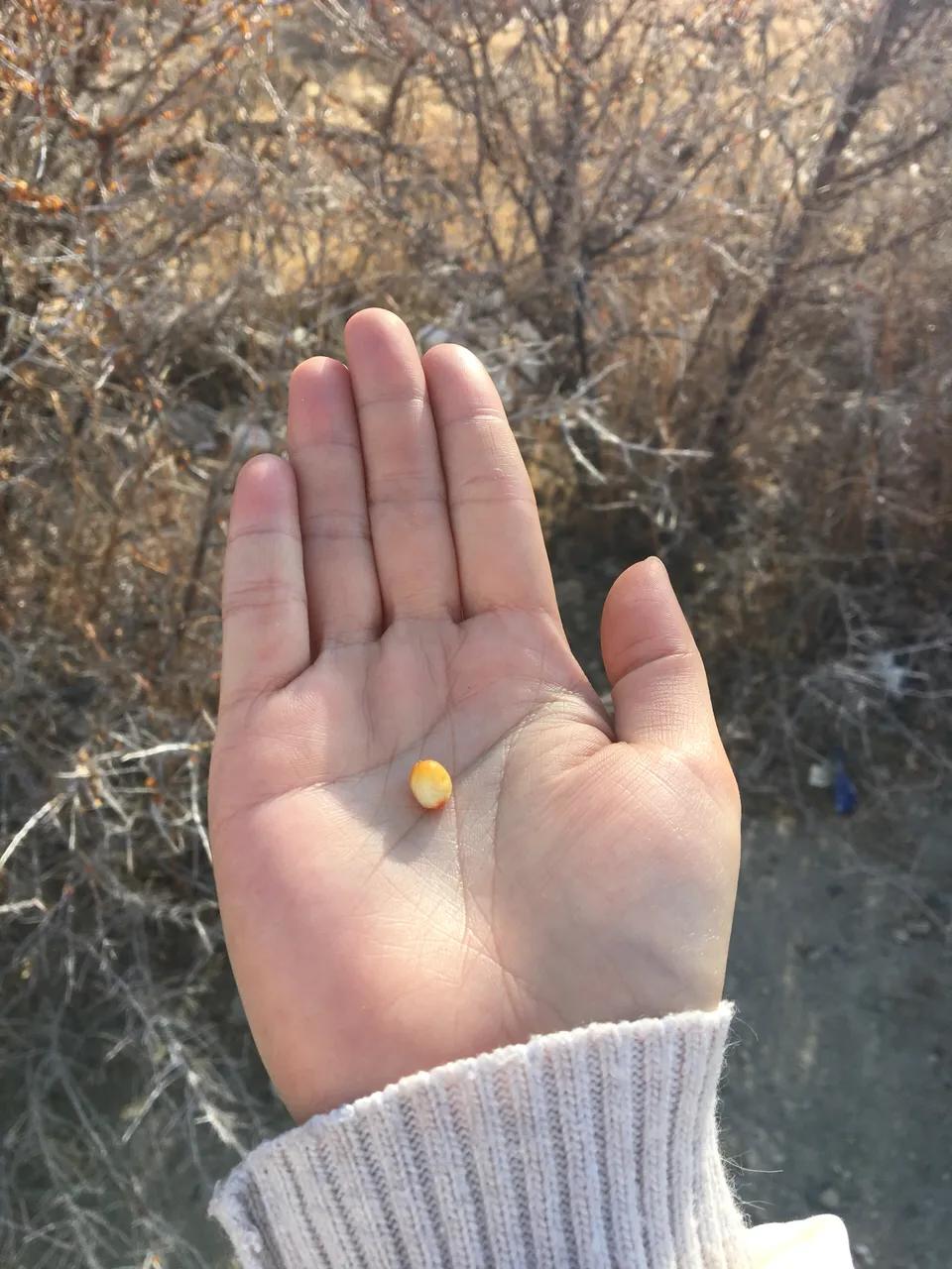 喀什塔县是什么样的,喀什和塔县详细攻略