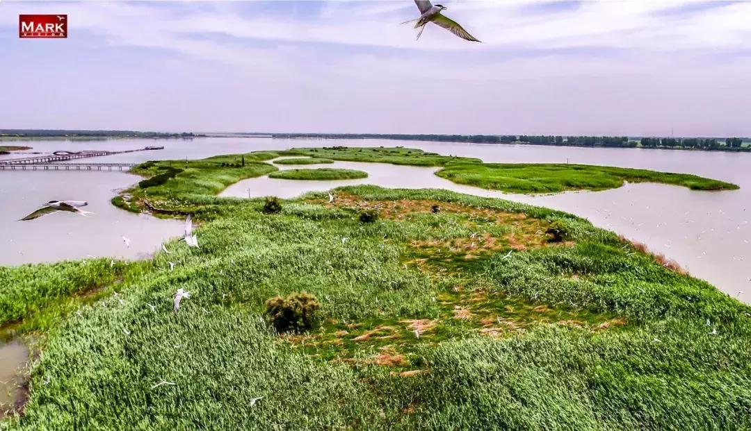 鎴戠埍鎴戝鎴垮瓙灏忓尯,鎴戠埍鎴戝闇稿窞鎴垮瓙