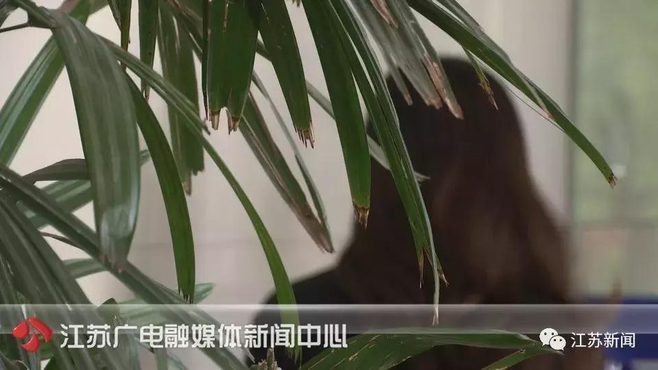 女子借1850元超时1天没还，亲朋好友就收到了私房艳照