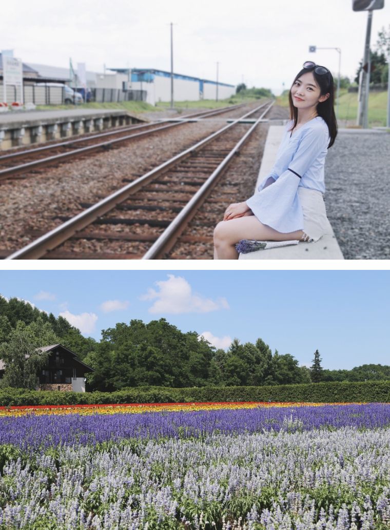 北海道七月的样子,北海道7月