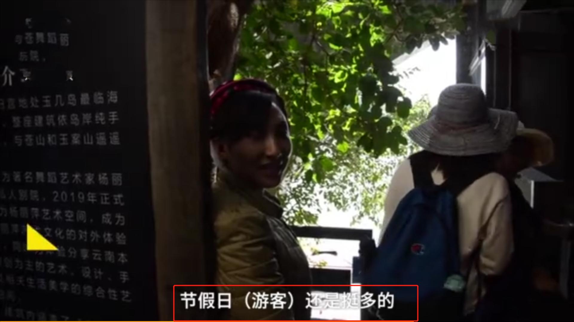 杨丽萍千万豪宅全景,杨丽萍3000万豪宅被查