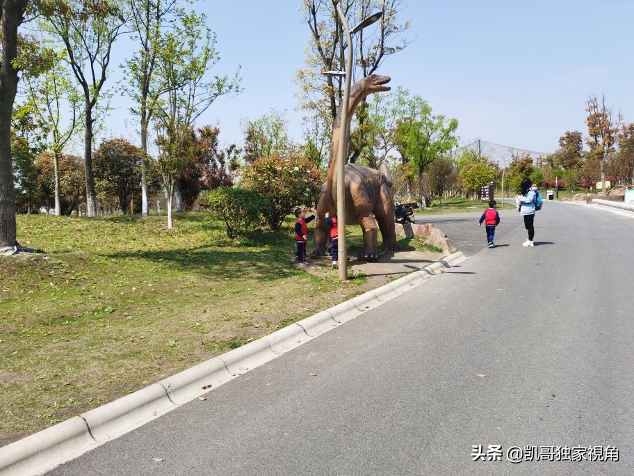 不一样的南通动物园,南通森林野生动物园和上海动物园