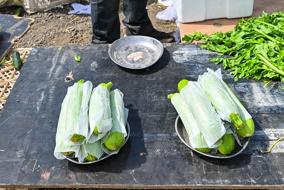 北京京郊大集地理位置,今天京郊哪有大集