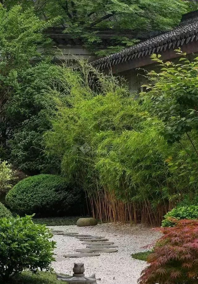 中国人的院子,中国人的院子深度解析