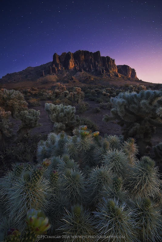 单反相机光学取景和实时取景,相机闪光灯下怎么实时取景
