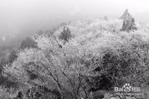济南的冬天是几年级课文,济南的冬天老舍