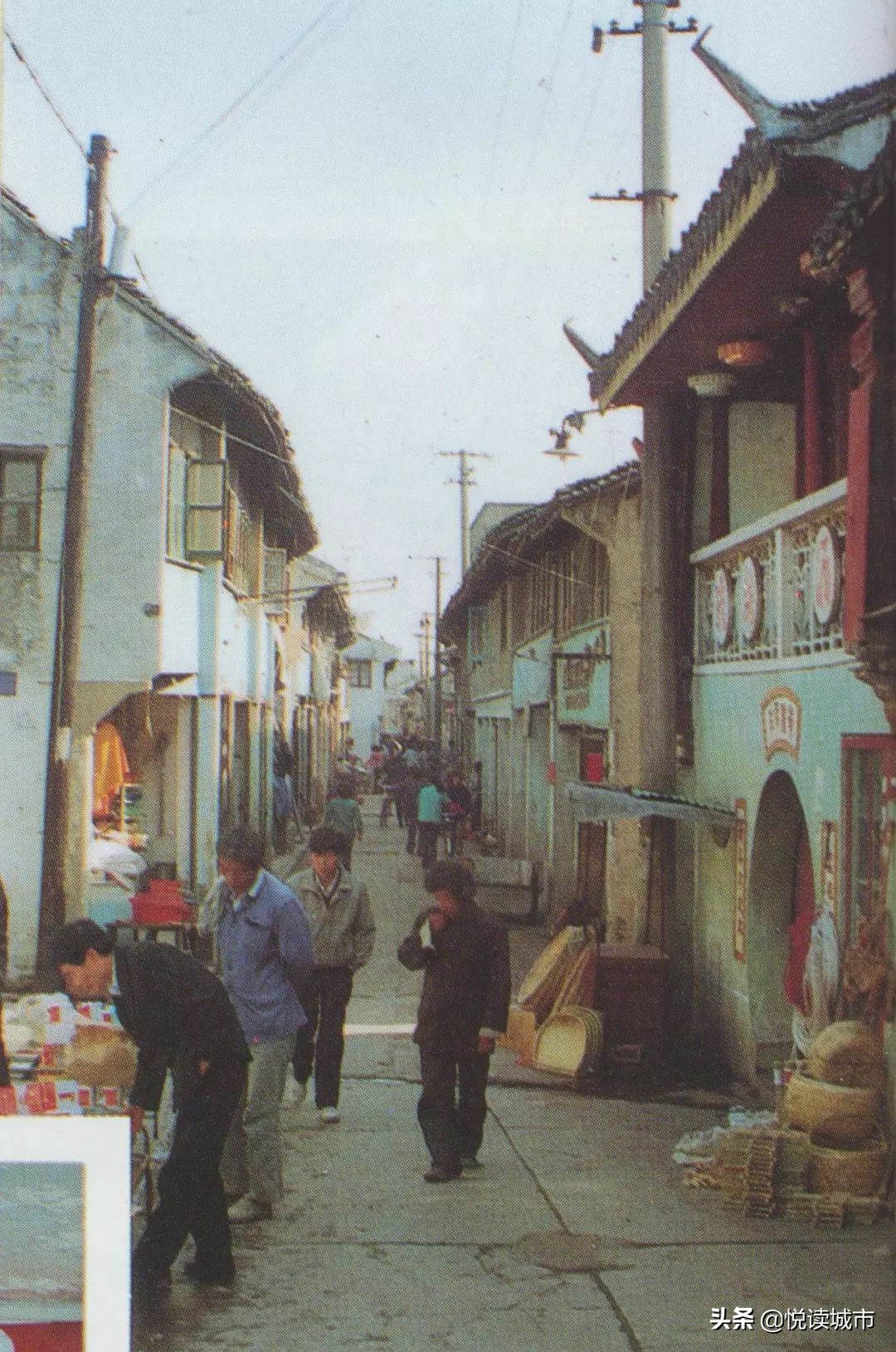 金秋赏“金”：新老照片对比金山发展老金山都不一定认得全