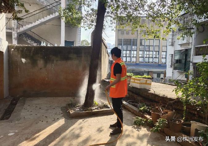 社区无人管理的树木,老小区无人管护居民向街道求助