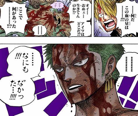 索隆最霸气的草帽,草帽海贼团索隆经历