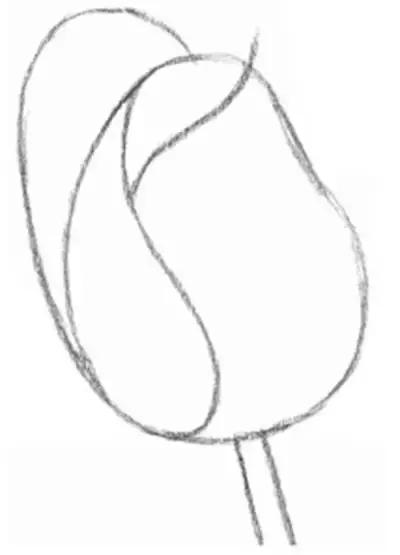 一幅素描玫瑰画如何加彩,玫瑰花束素描图片