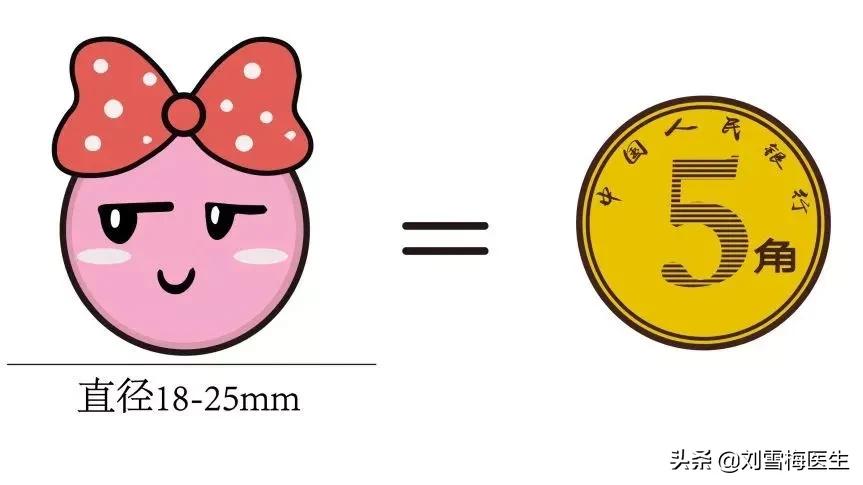 怎么可以取得卵子,如何获得卵子