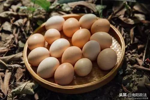 呀嚯！本期鸭货上榜多，商家可能要压货！