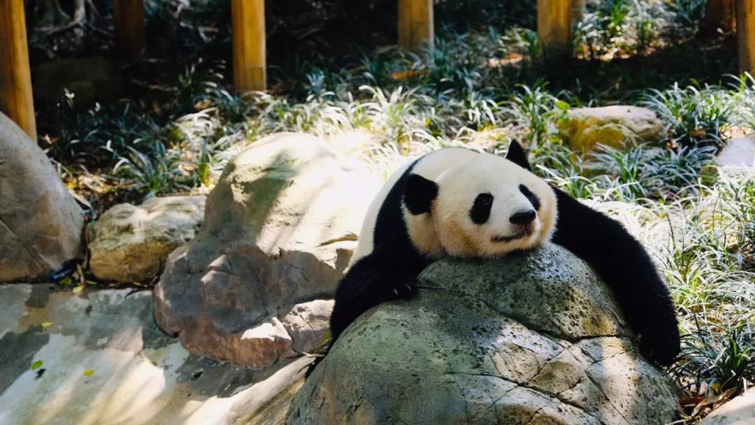 推荐最好玩的乐园,有没有值得玩的地方推荐一下