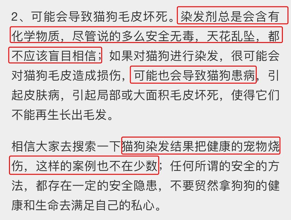 美国23岁女孩遭虐待,美国女子养狗被狗咬死