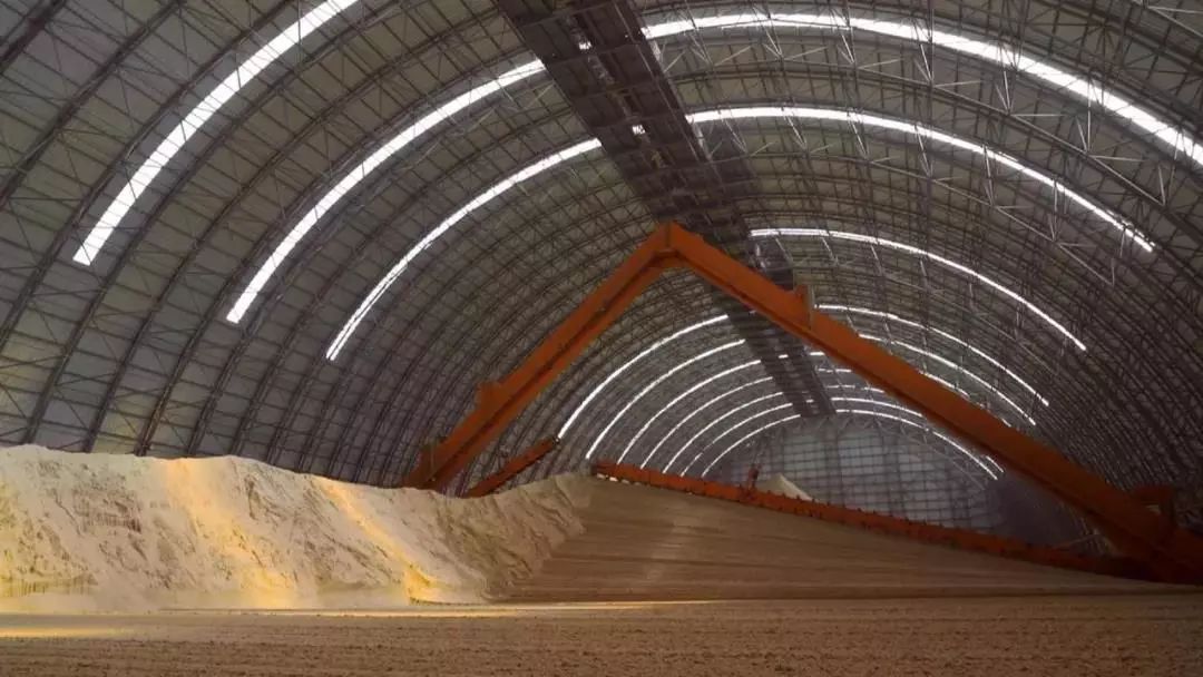 2020年奥斯卡入围,2020年奥斯卡原版视频