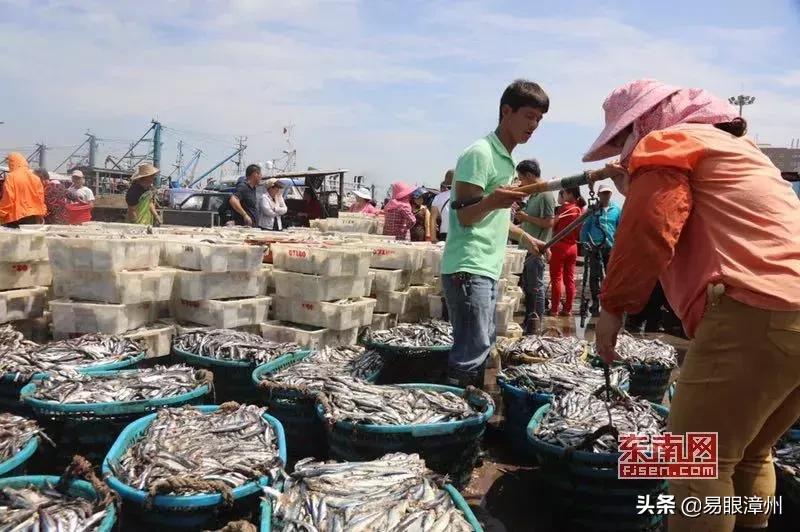 休渔期来了！接下来3个月，漳州人想吃这些海货有点难！