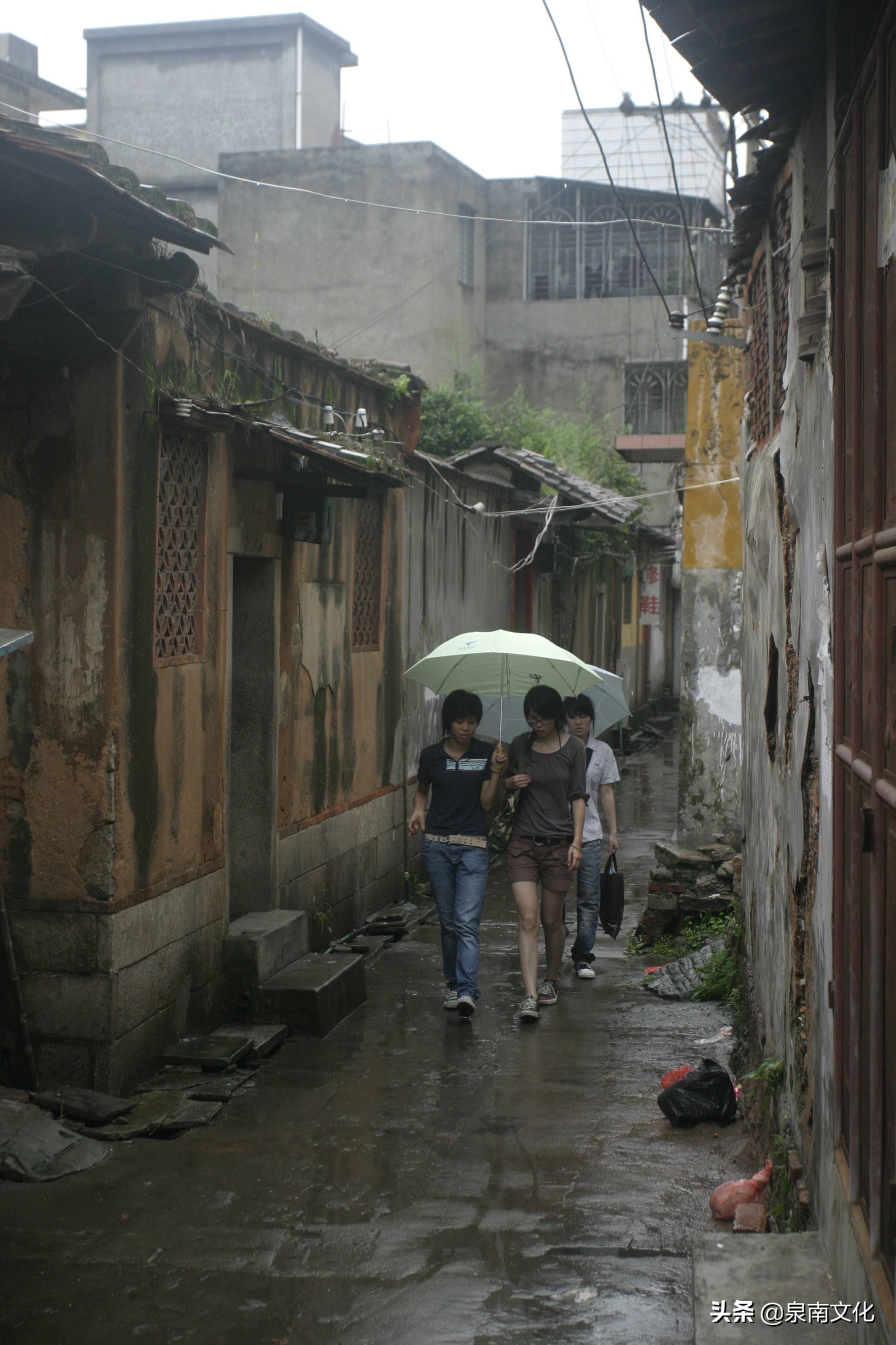 泉州中山路两侧巷道踏勘日记(三):奎霞巷、会通巷、通政巷等