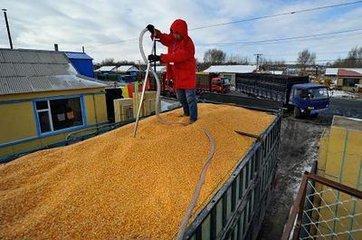 各地玉米价格突破一元,为什么农户手中的玉米7毛钱都卖不了?