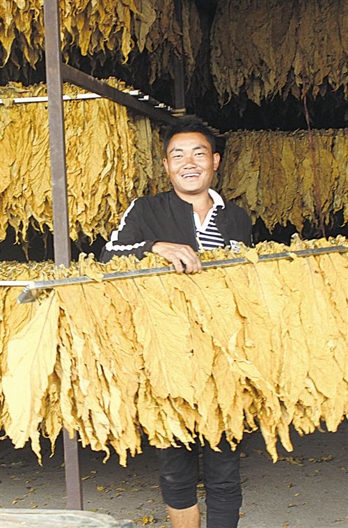 生产队种烟,生产队时代农民