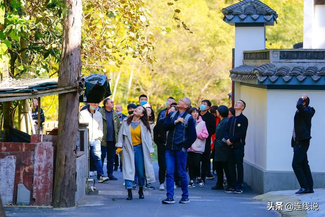 天朗气清完整视频,天朗气清出发视频