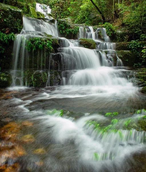 广西旅游景区向全国医护人员免费,疫情医护人员景区免费