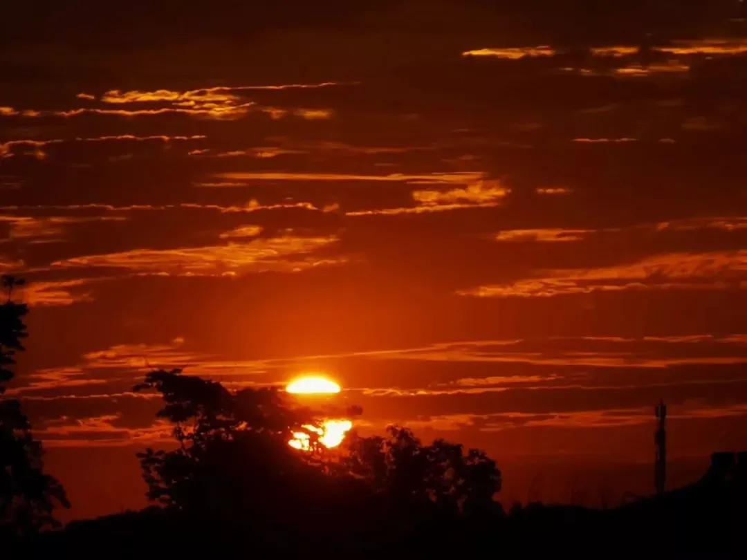 安徽省合肥师范学院2024招生简章,安徽省合肥师范学院今年投档线