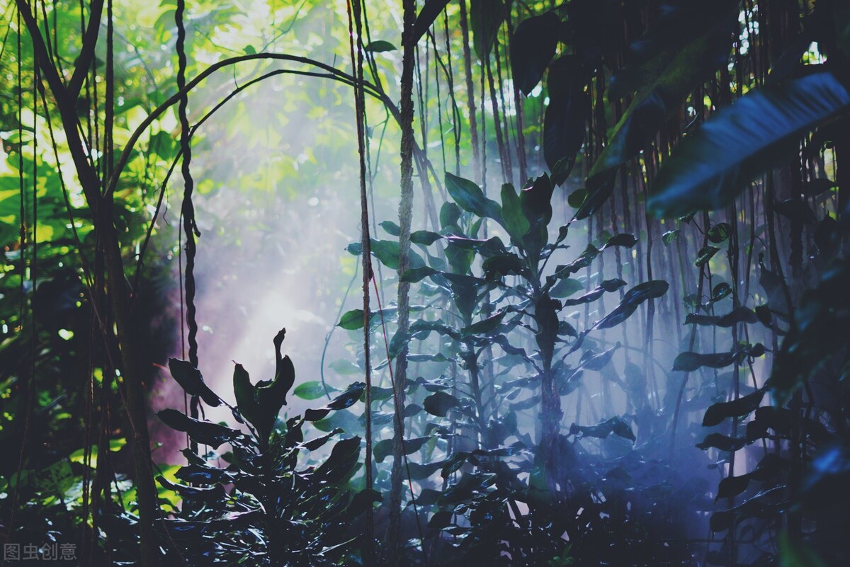 厦门五一旅游攻略景点打卡,厦门旅游必打卡景点