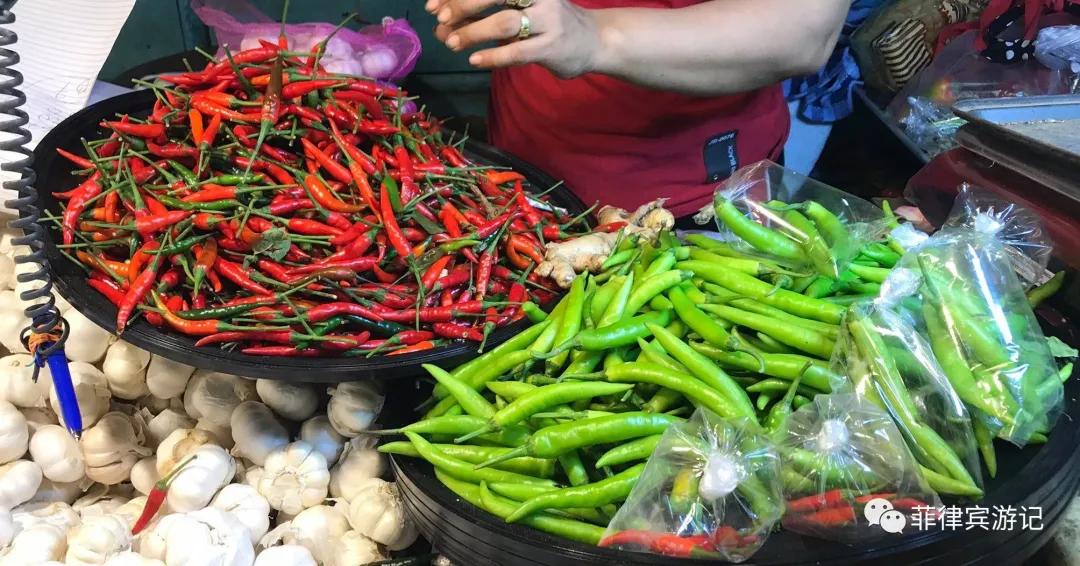 菲律宾青菜价格表,菲律宾蔬菜为什么那么贵