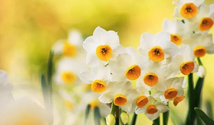 做个“三心二意”的人,让生活充满阳光