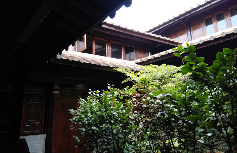 昆明轿子雪山自驾一日游攻略,昆明周边一日游自驾游路线推荐