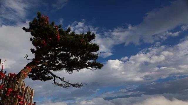 华山带孩子怎么游不累,华山怎样爬不累