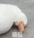 从入门到理赔,从入门到入土好不好