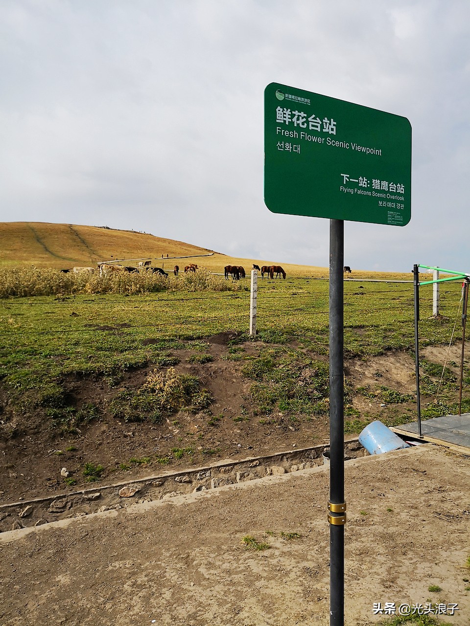 世界自然遗产地喀拉峻大草原,来新疆感受大自然的喀拉峻大草原