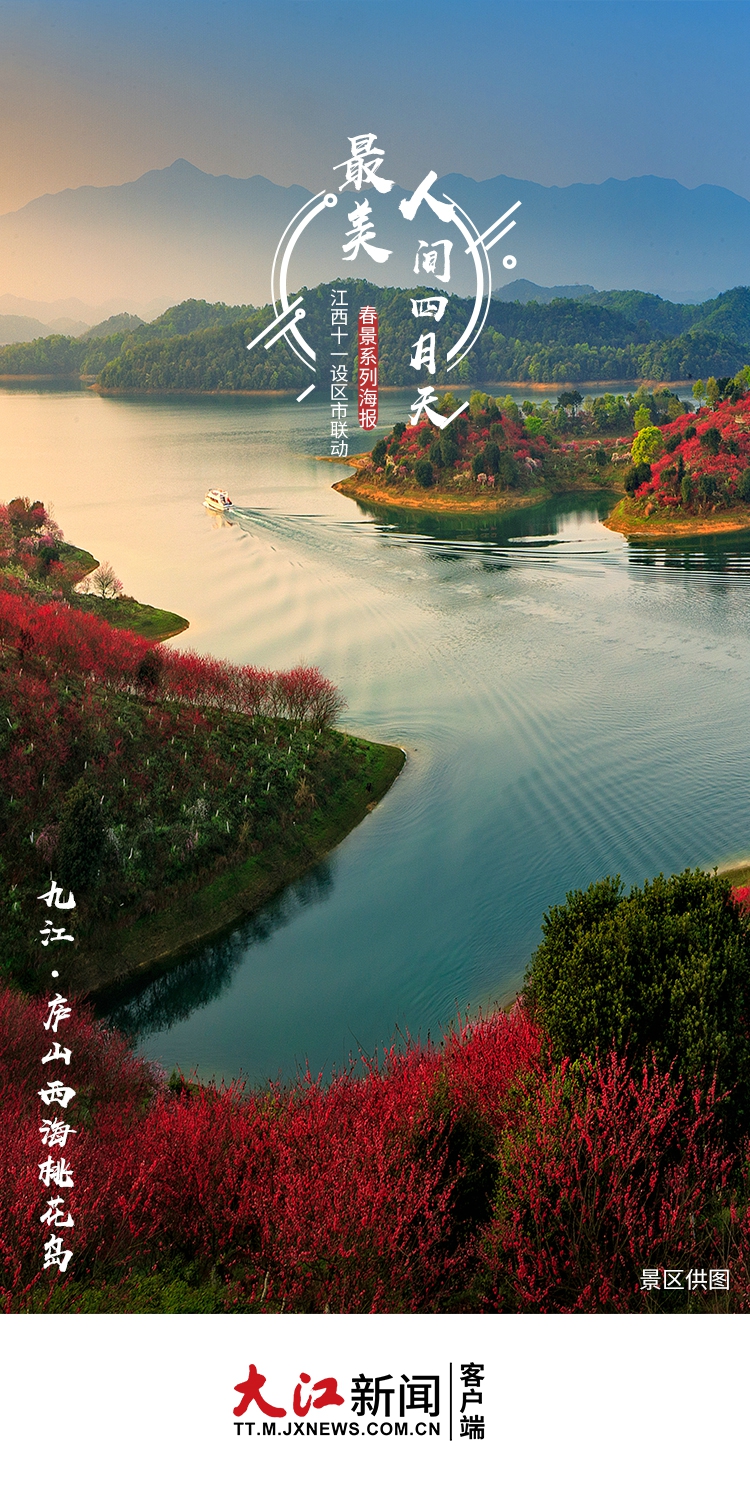 春色满园美景照,春色满屏樱花绽放