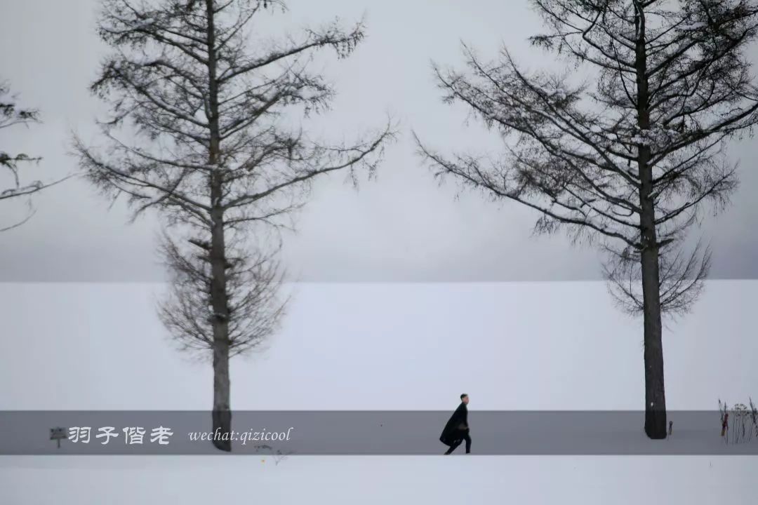 老实说，这一趟北海道就是为了拍好看的照片去的