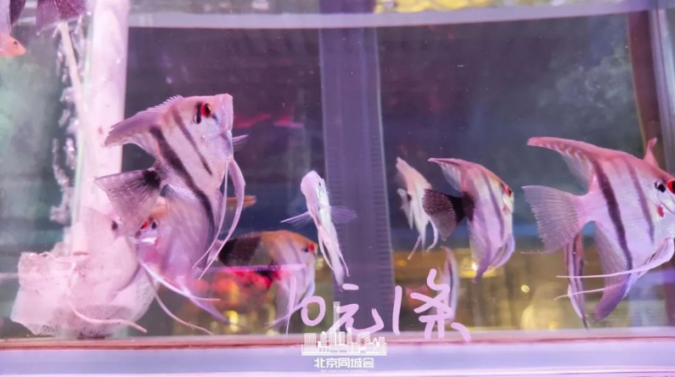 不去后悔去了更加后悔的景点,不去后悔去的景点