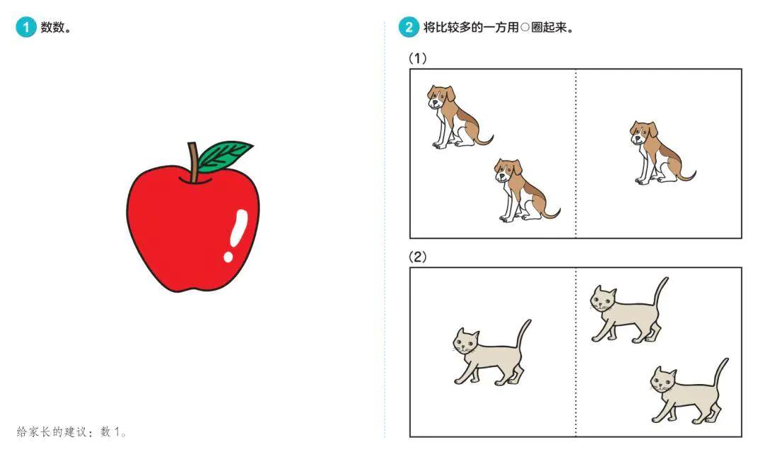 七田真全脑开发全套6册,日本正版七田真全脑课程介绍
