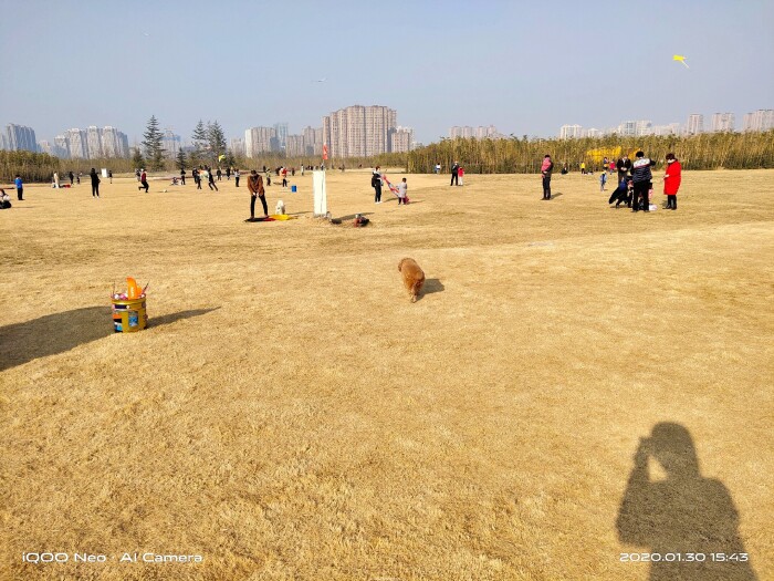 iqooneo855打王者有哪些功能,iqooneo855和竞速版的区别在哪