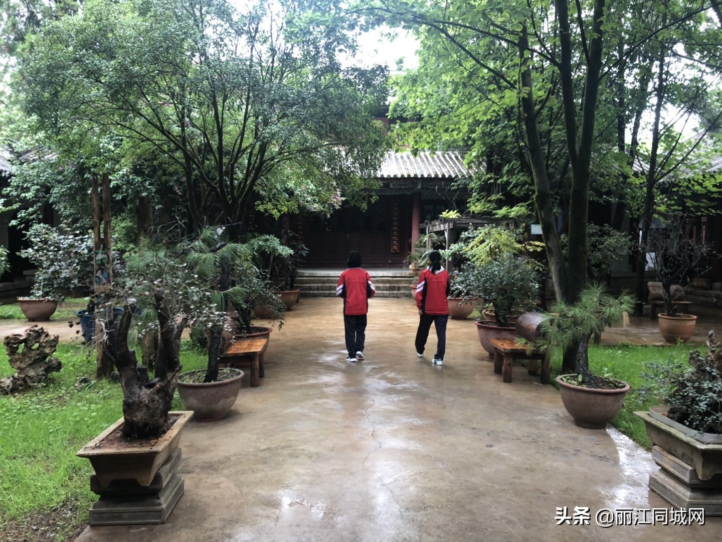 丽江最具文化底蕴的校园书店开业了！建于清末丽江府中学堂旧址