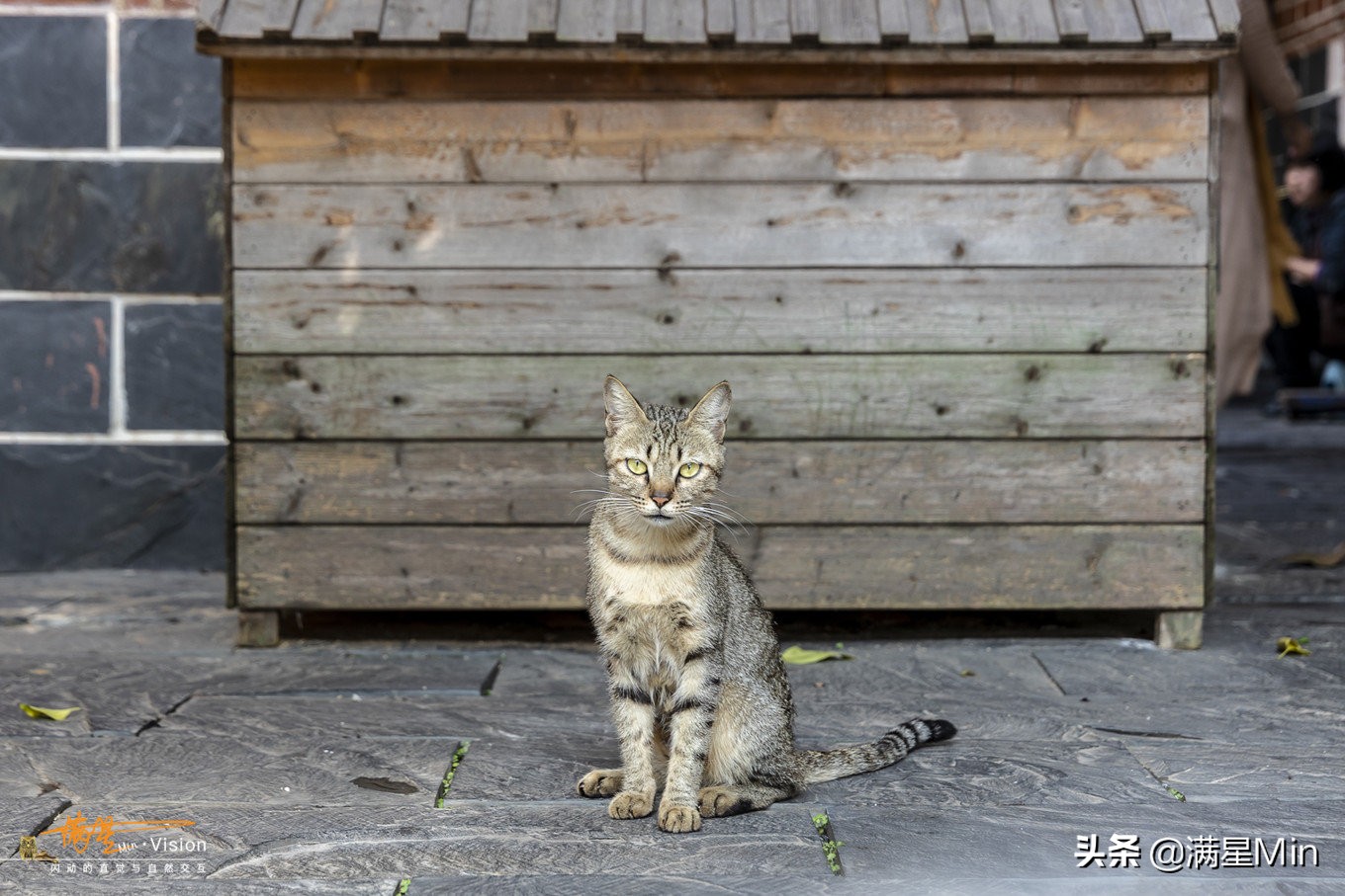 郴州民宿《那山那水》,郴州那山那水酒店