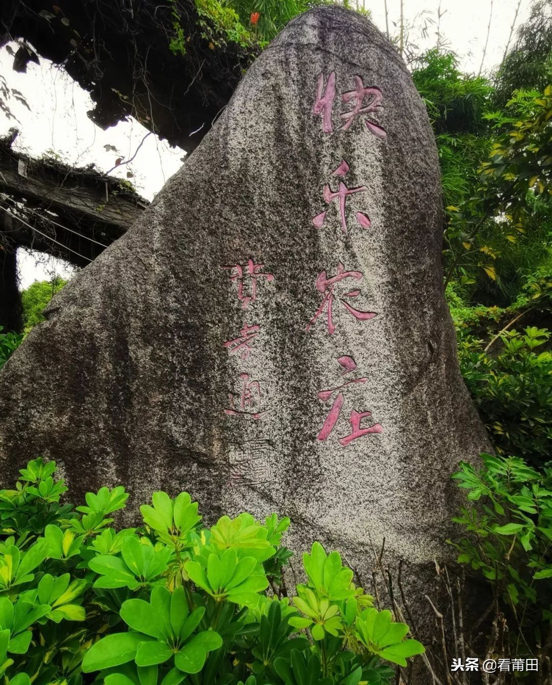 莆田快乐农庄以前的样子,莆田快乐农庄建什么