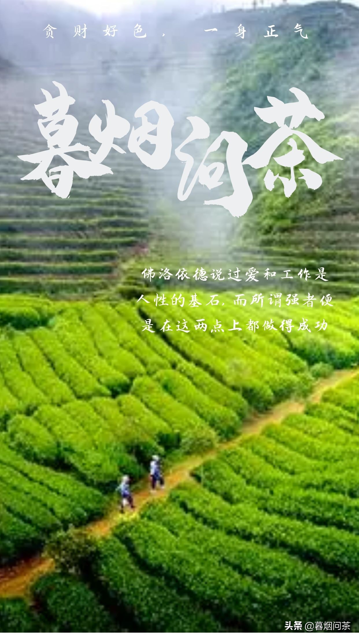 是不是还记得在云南大理喝过最好喝的茶