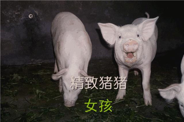 欧阳娜娜戚薇刘海,欧阳娜娜周冬雨刘昊然