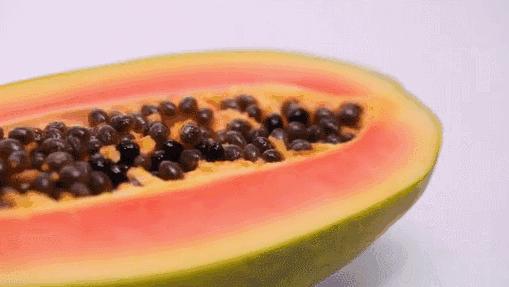 快收藏！海南水果图鉴～认准了，吃它