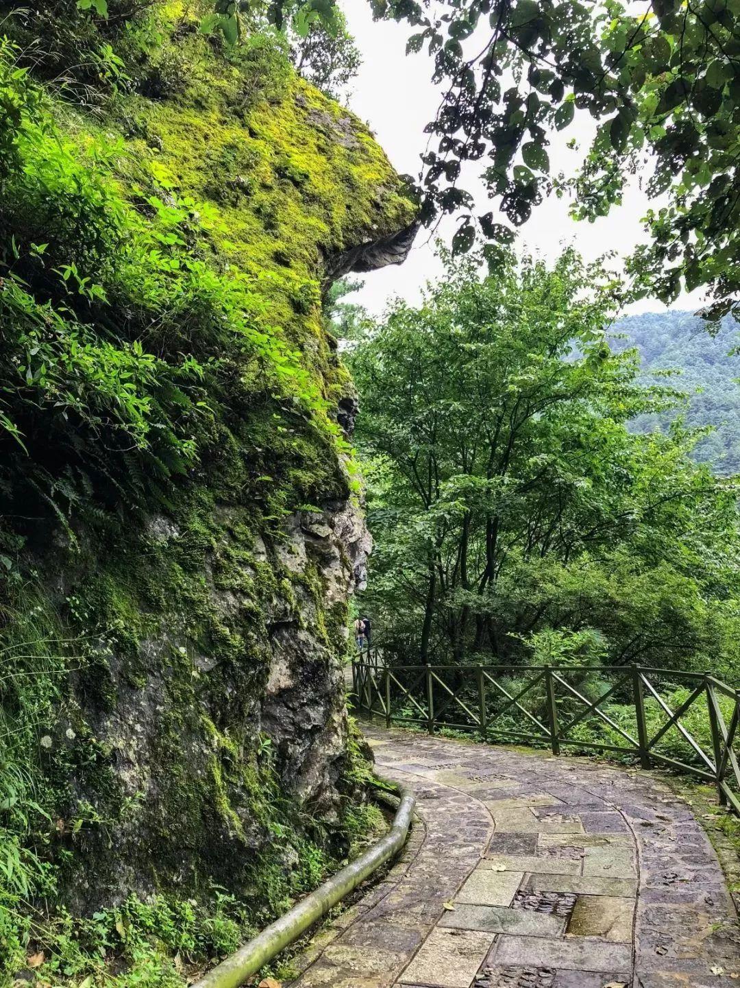 苍山徒步最全攻略｜夏末秋初去大理，苍山碧*欲色**流，洱海烟波浩渺