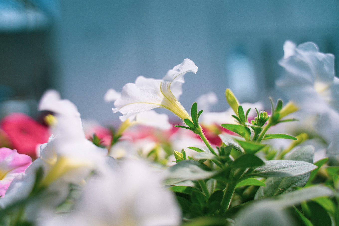 不仅仅是皮革,海清潮静——海宁