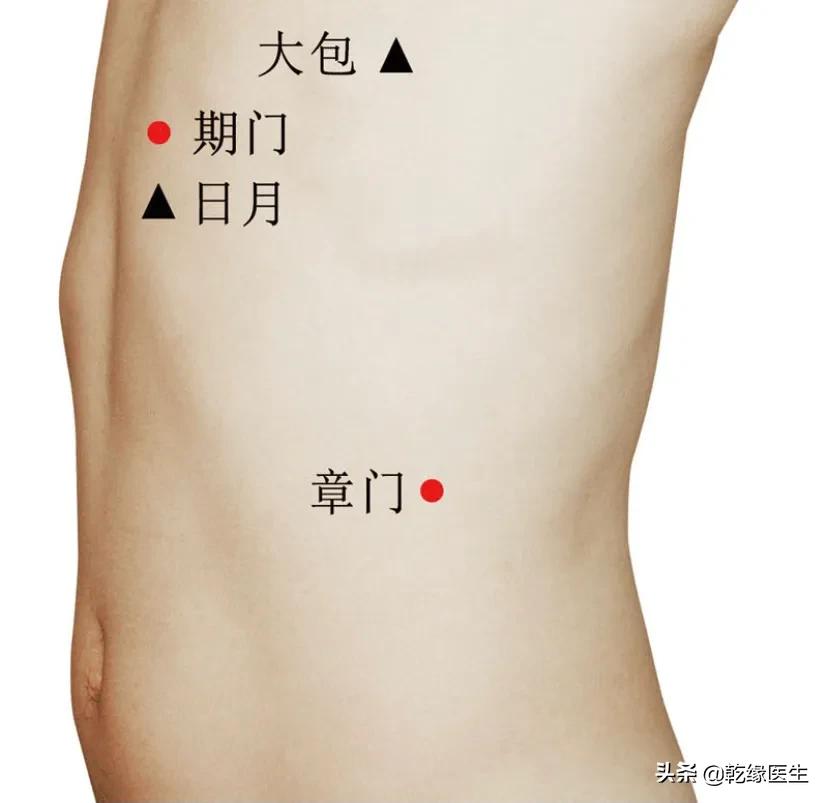 六脏六腑各有一募穴（二）